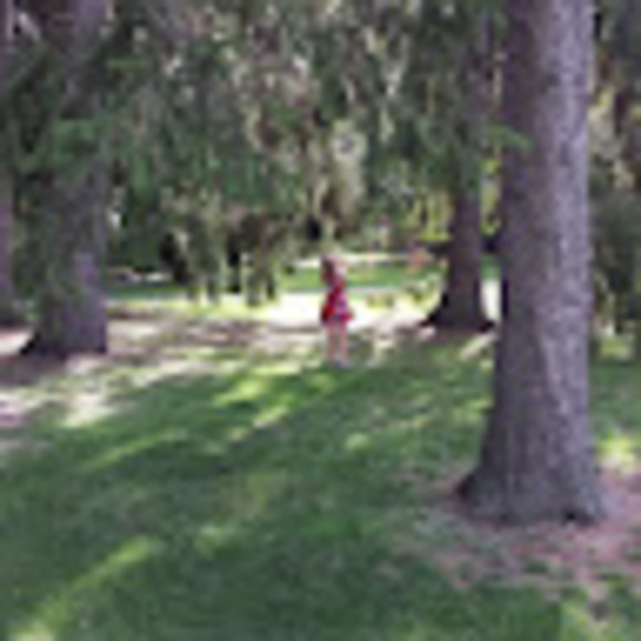 Meet your Posher, Andrew - Picture 1 of 1